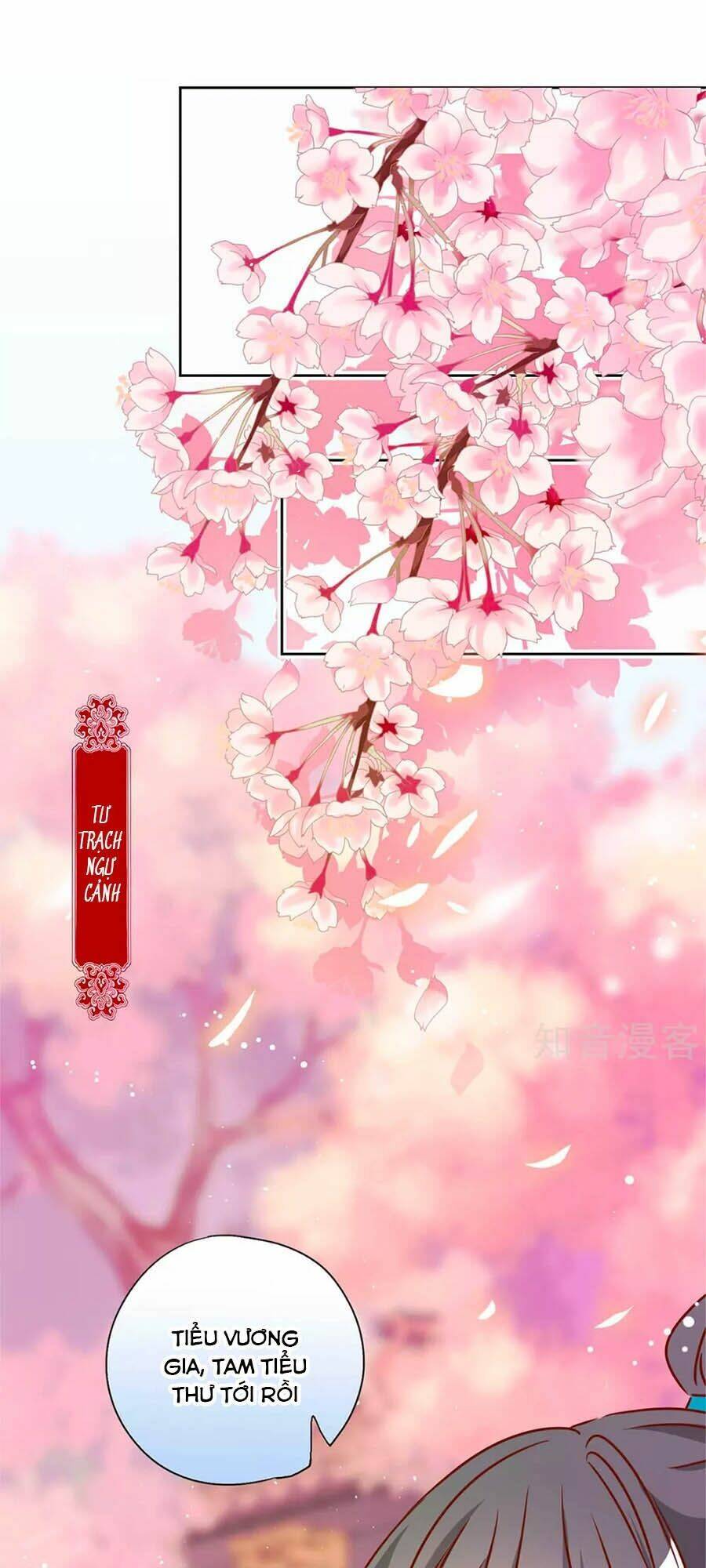 Hoàng Hậu Nương Nương Đích Năm Xu Đặc Hiệu: Chapter 231