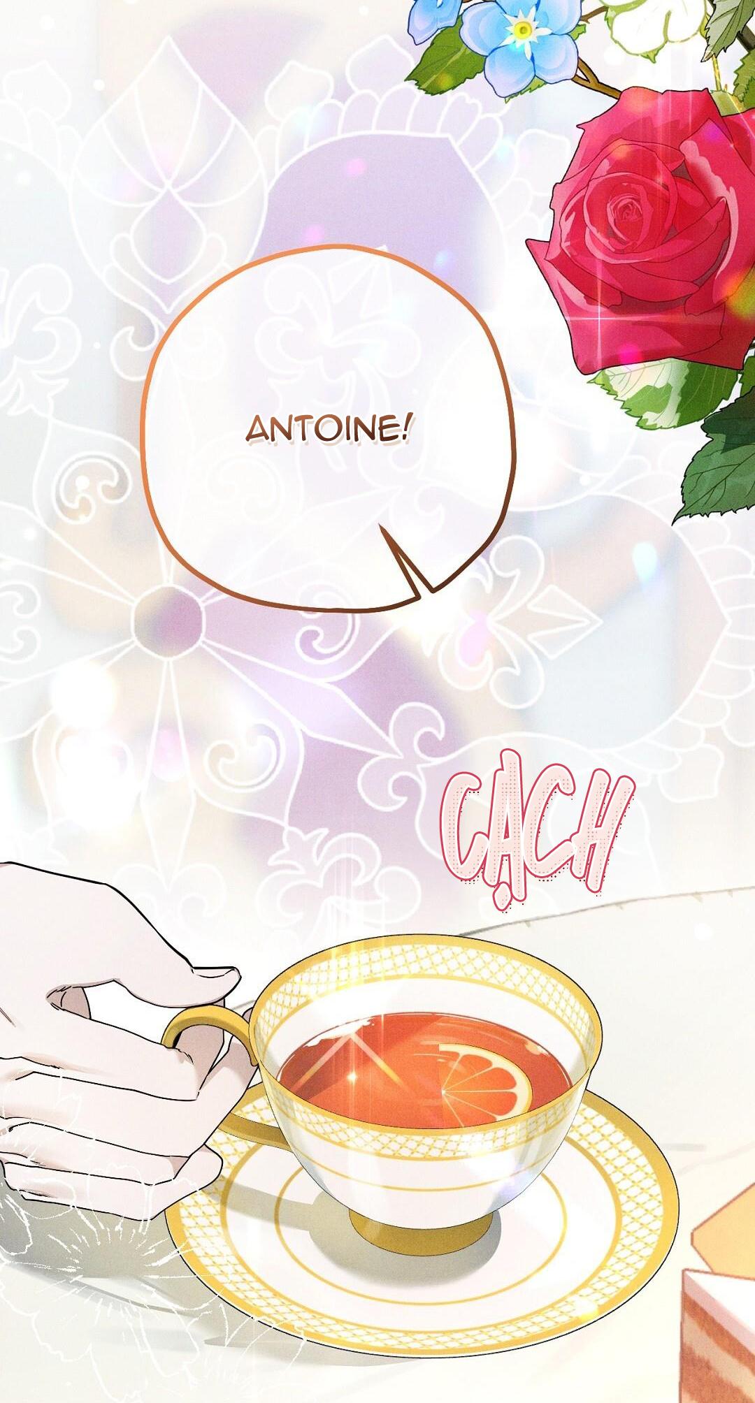 Hoàng Tử Hư Hỏng Che Giấu Mình Là Omega: Chapter 11