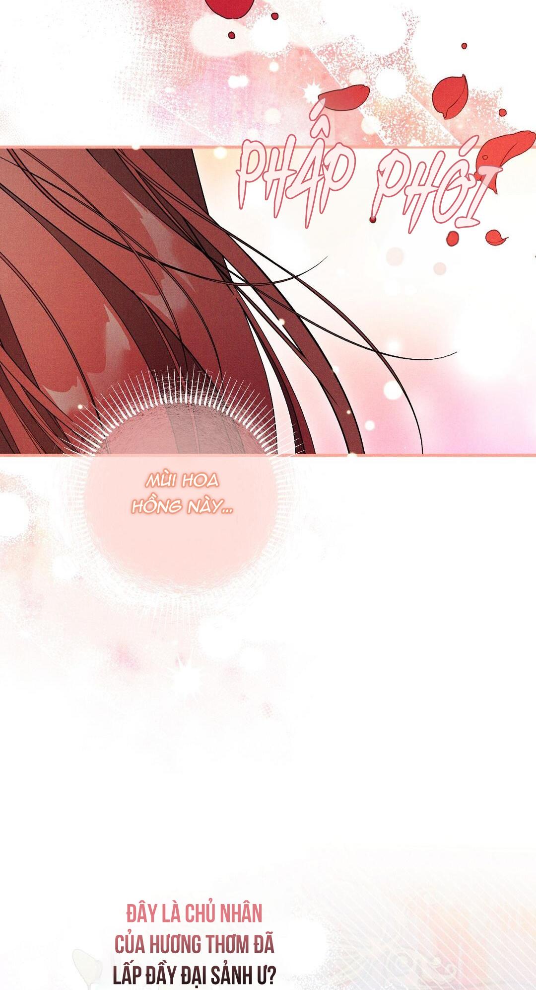 Hoàng Tử Hư Hỏng Che Giấu Mình Là Omega: Chapter 11
