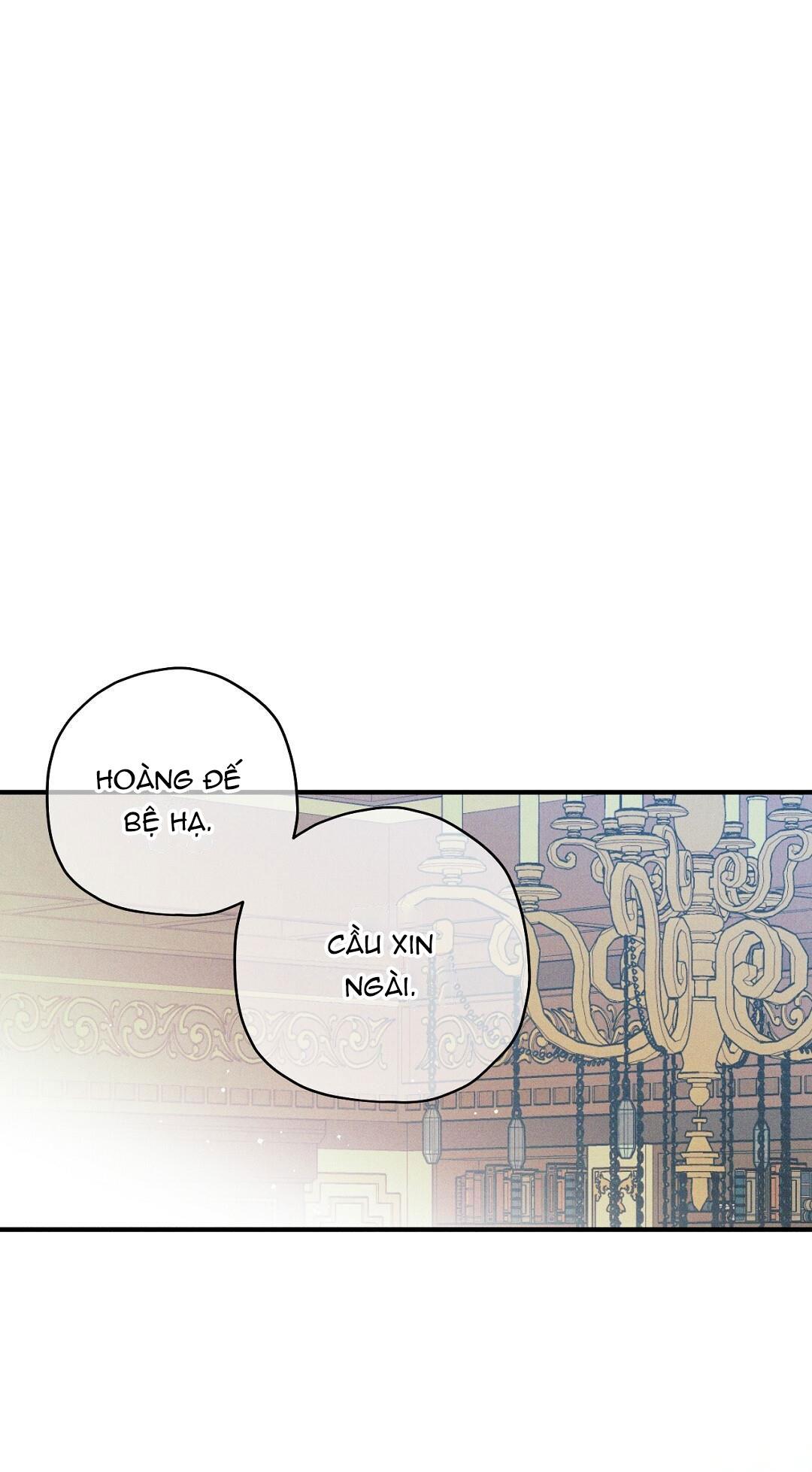 Hoàng Tử Hư Hỏng Che Giấu Mình Là Omega: Chapter 12
