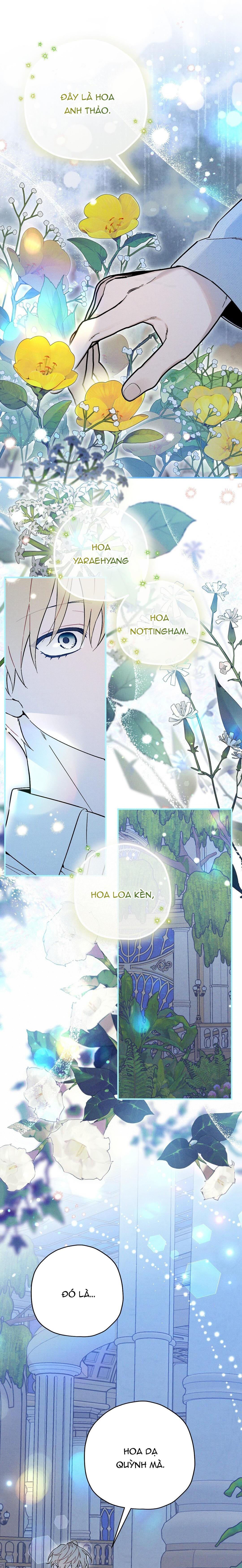 Hoàng Tử Hư Hỏng Che Giấu Mình Là Omega: Chapter 15