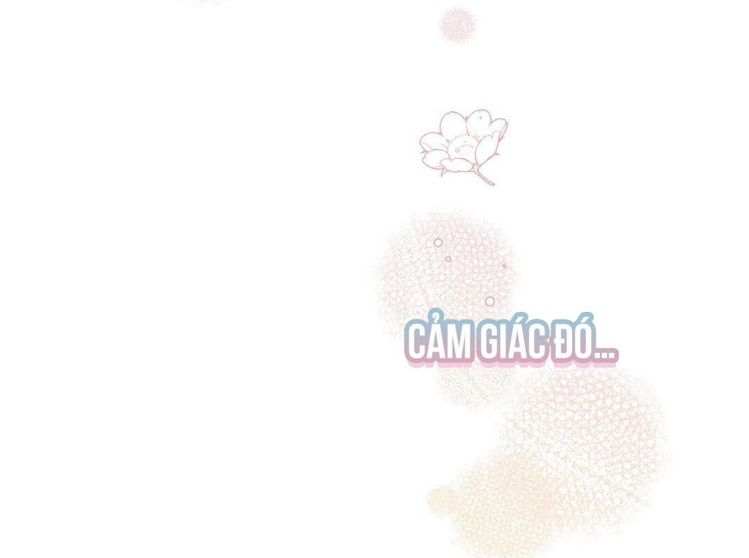 Hoàng Tử Hư Hỏng Che Giấu Mình Là Omega: Chapter 16