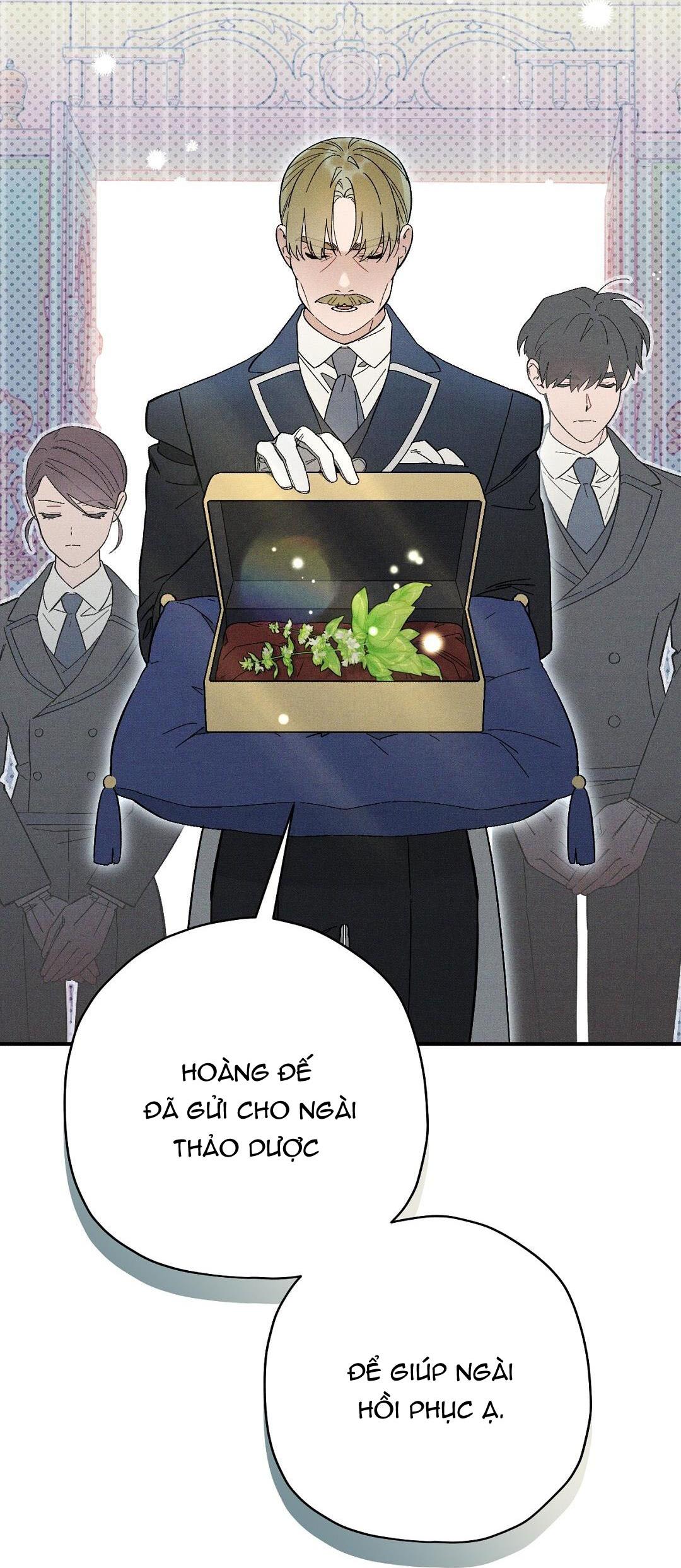 Hoàng Tử Hư Hỏng Che Giấu Mình Là Omega: Chapter 16