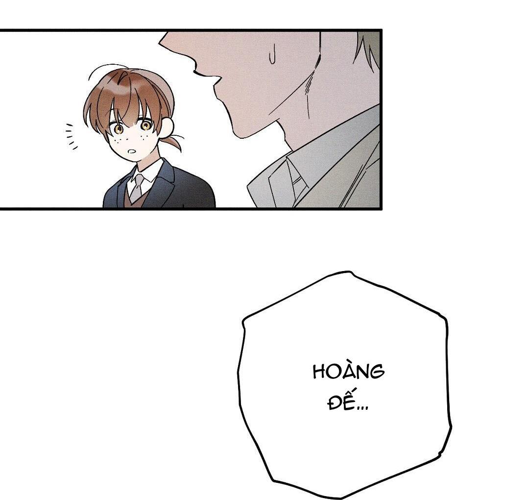 Hoàng Tử Hư Hỏng Che Giấu Mình Là Omega: Chapter 16