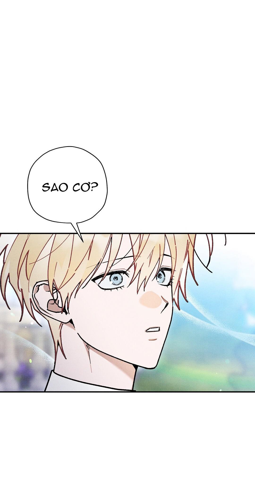Hoàng Tử Hư Hỏng Che Giấu Mình Là Omega: Chapter 31