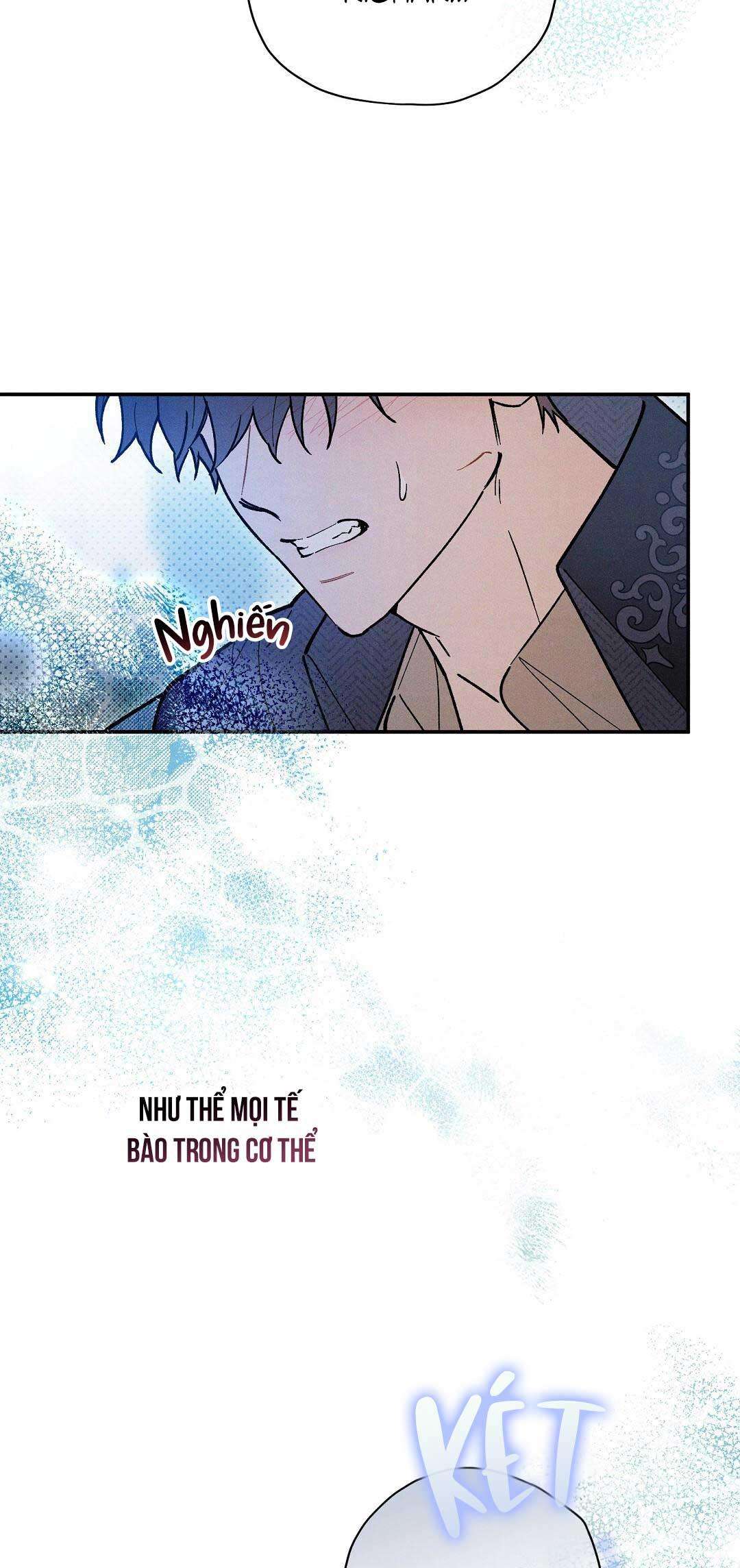 Hoàng Tử Hư Hỏng Che Giấu Mình Là Omega: Chapter 33