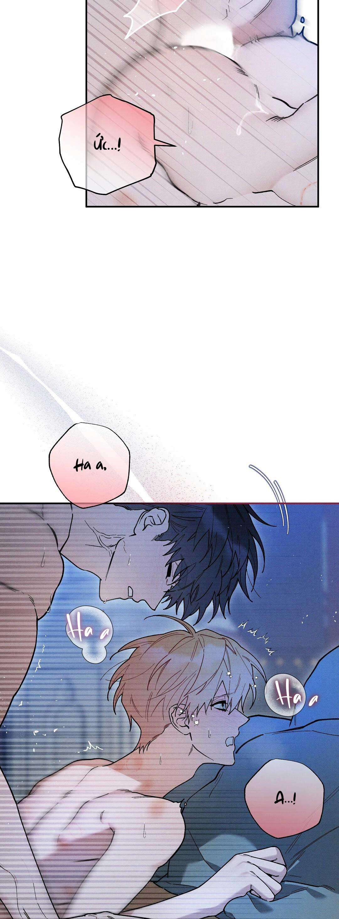 Hoàng Tử Hư Hỏng Che Giấu Mình Là Omega: Chapter 36