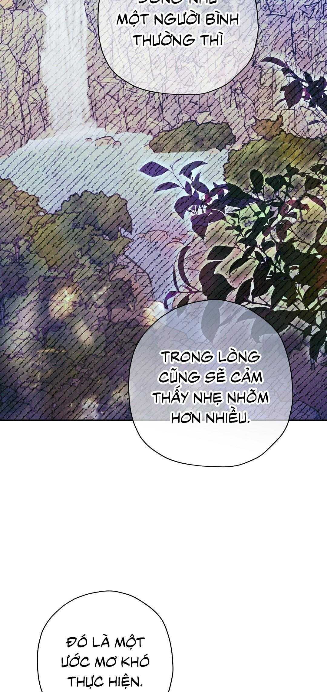 Hoàng Tử Hư Hỏng Che Giấu Mình Là Omega: Chapter 41