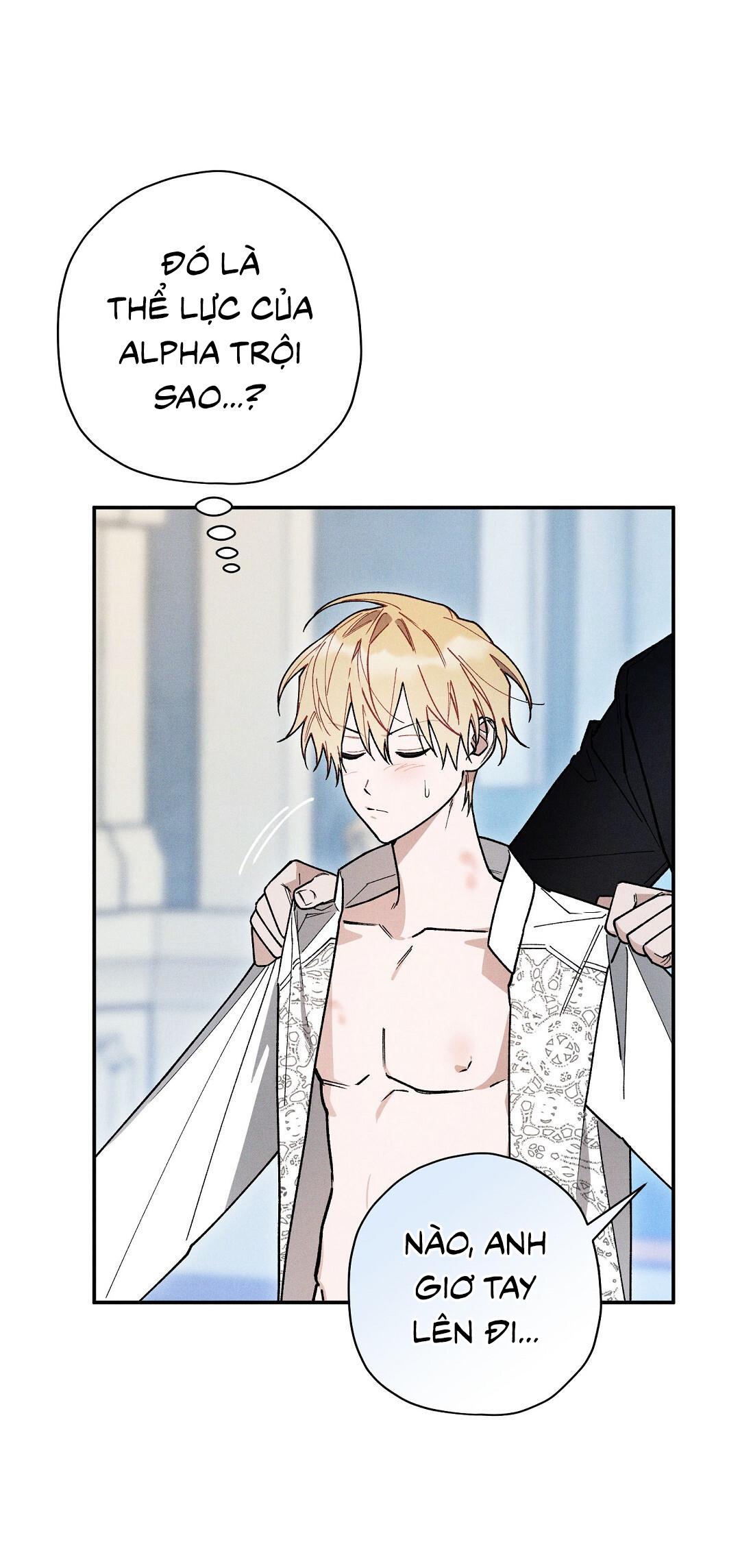 Hoàng Tử Hư Hỏng Che Giấu Mình Là Omega: Chapter 45