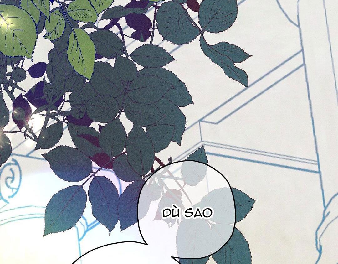 Hoàng Tử Hư Hỏng Che Giấu Mình Là Omega: Chapter 8