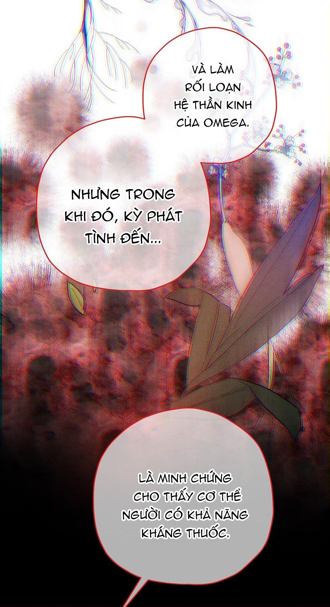 Hoàng Tử Hư Hỏng Che Giấu Mình Là Omega: Chapter 8