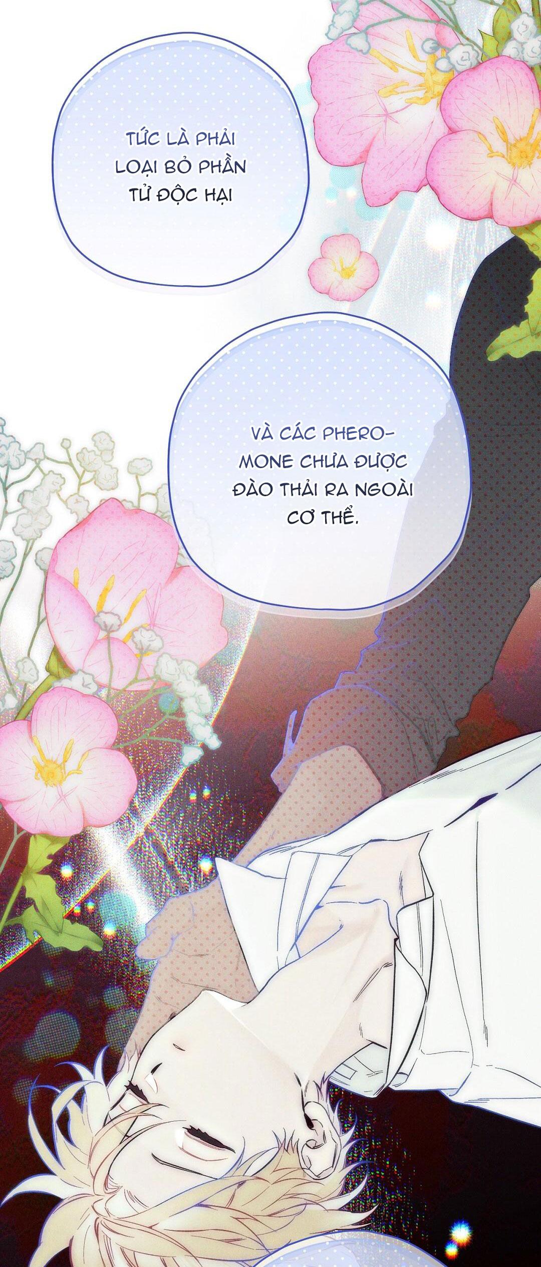 Hoàng Tử Hư Hỏng Che Giấu Mình Là Omega: Chapter 9
