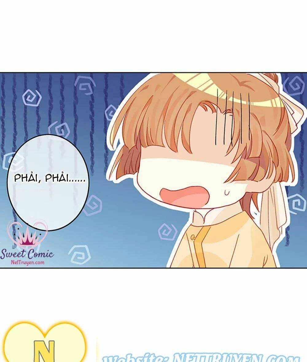 Học Viện Kiêu Ngạo Hoàng Gia: Chapter 3