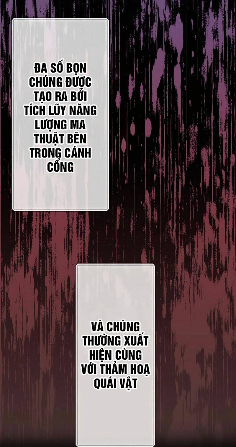 Hồi Quy Trở Thành Mạo Hiểm Giả Mạnh Nhất Nhờ Class Ẩn Điều Khiển Trọng Lực: Chapter 28