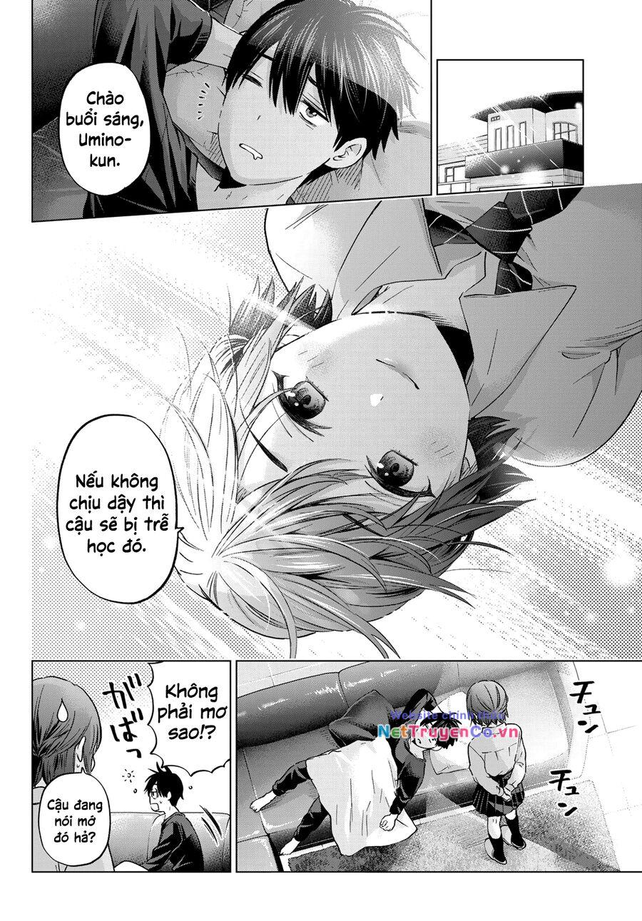 Hôn Thê Cúc Cu: Chapter 143