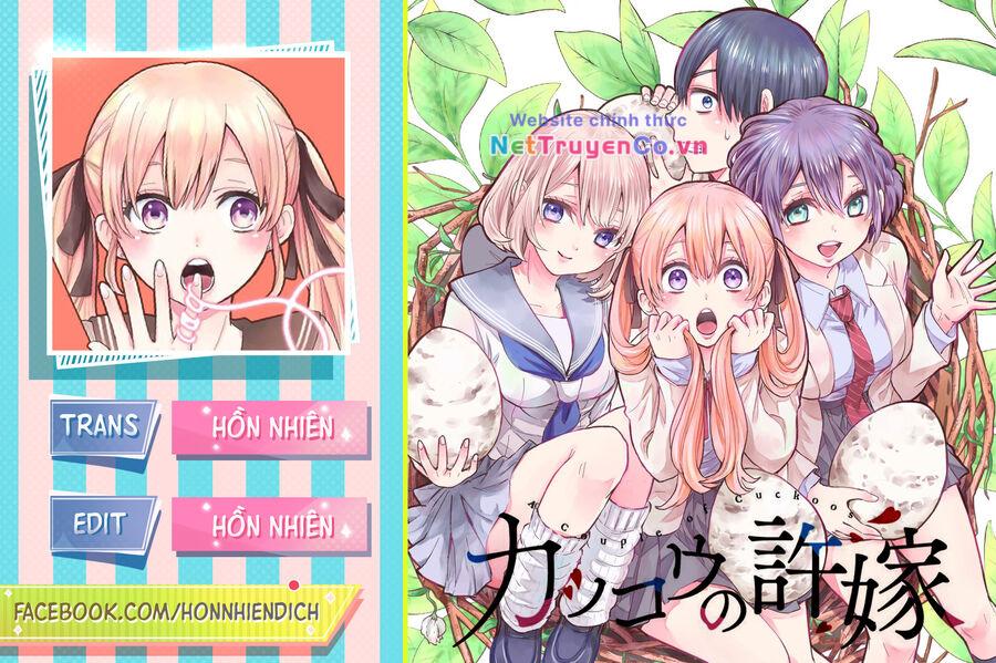 Hôn Thê Cúc Cu: Chapter 144