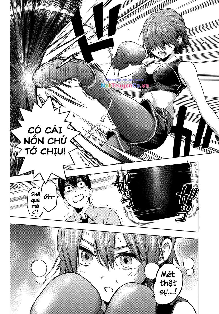 Hôn Thê Cúc Cu: Chapter 154