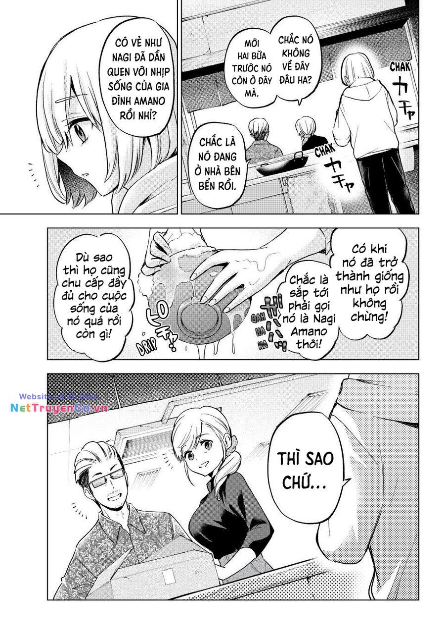Hôn Thê Cúc Cu: Chapter 165