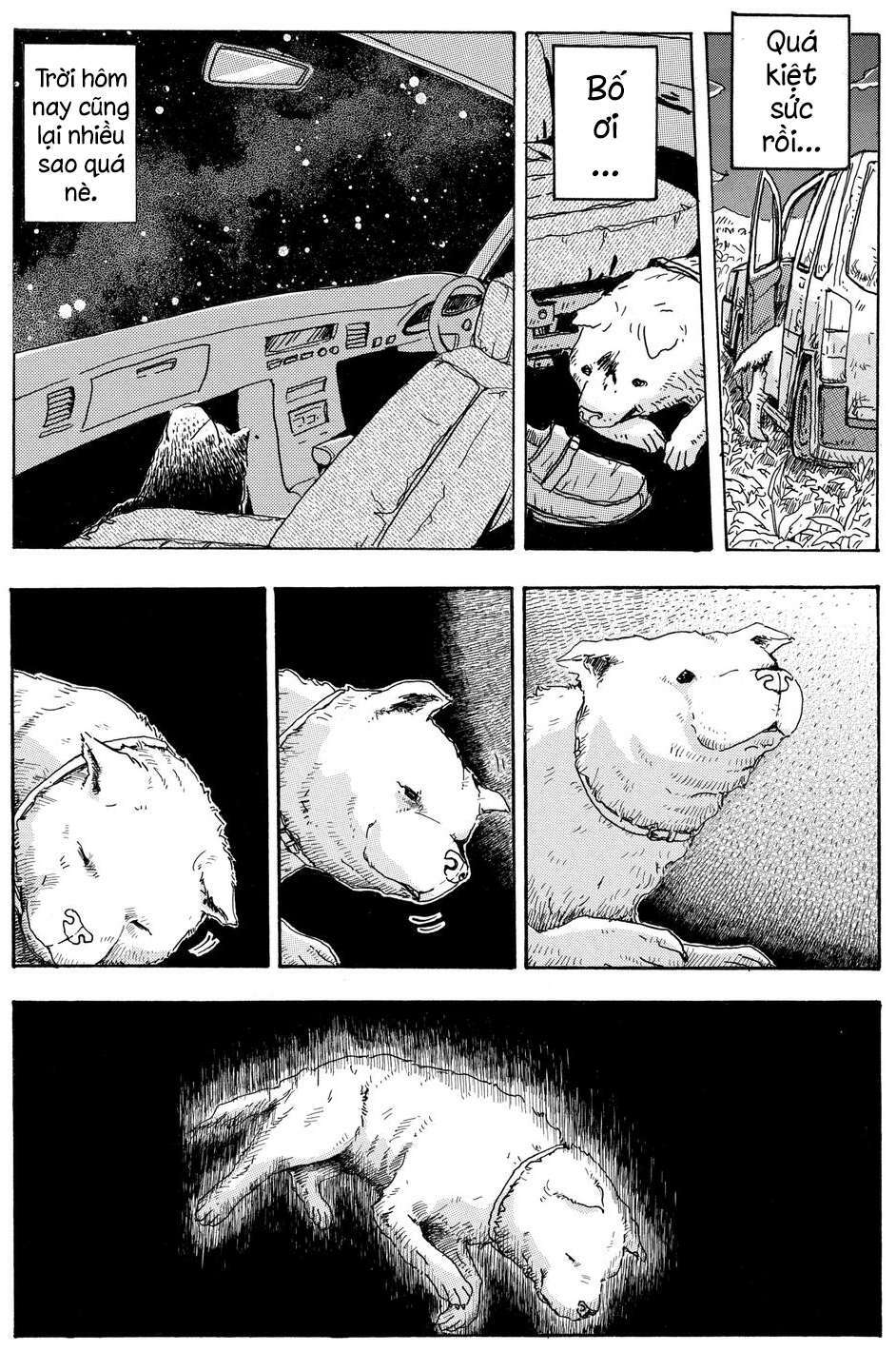 Hoshi Mamoru Inu: Chapter 4