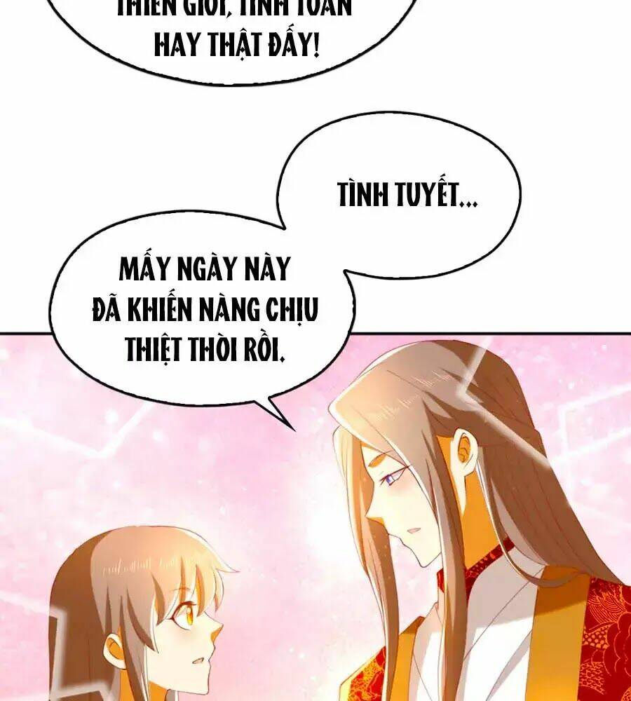 Khuynh Thành Cuồng Phi Của Tà Vương: Chapter 114