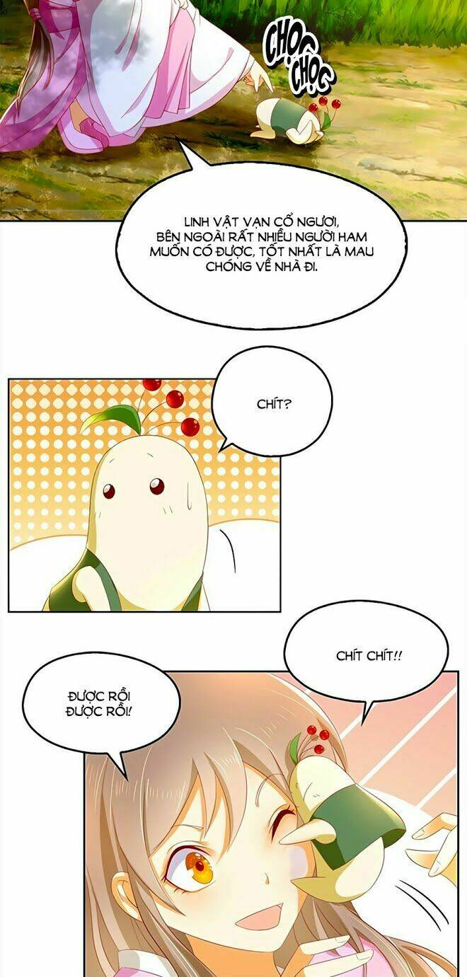 Khuynh Thành Cuồng Phi Của Tà Vương: Chapter 6