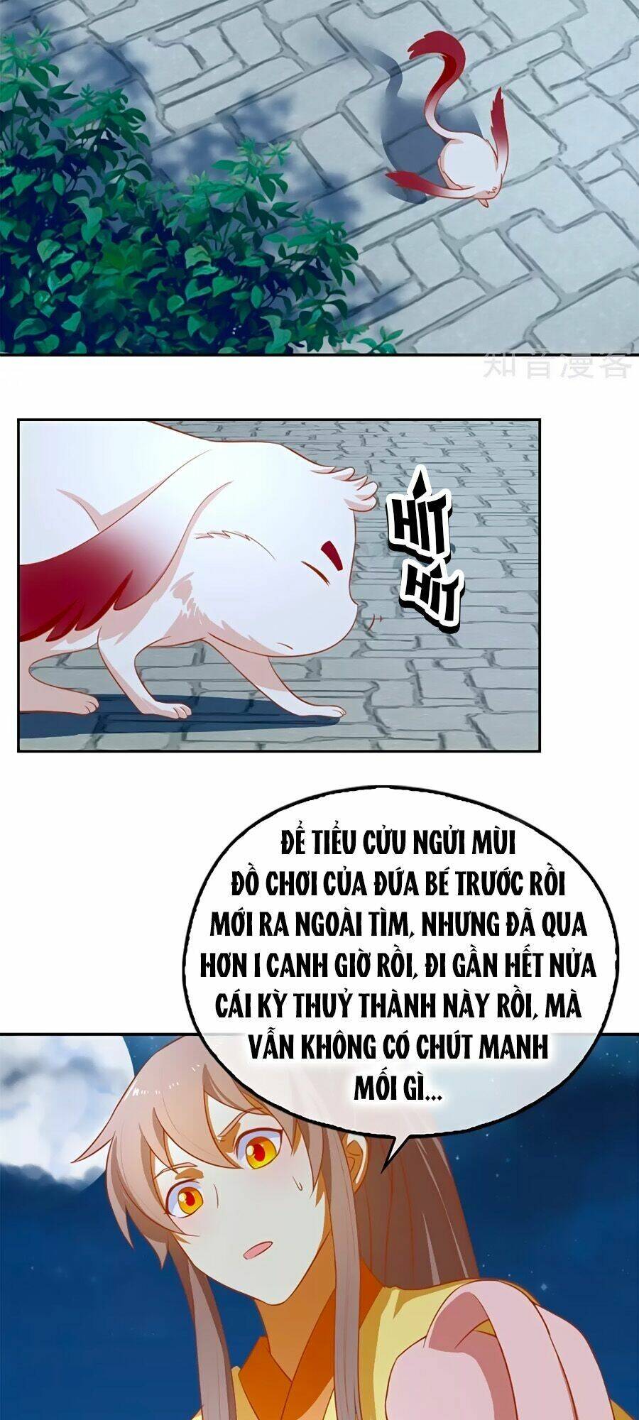 Khuynh Thành Cuồng Phi Của Tà Vương: Chapter 66
