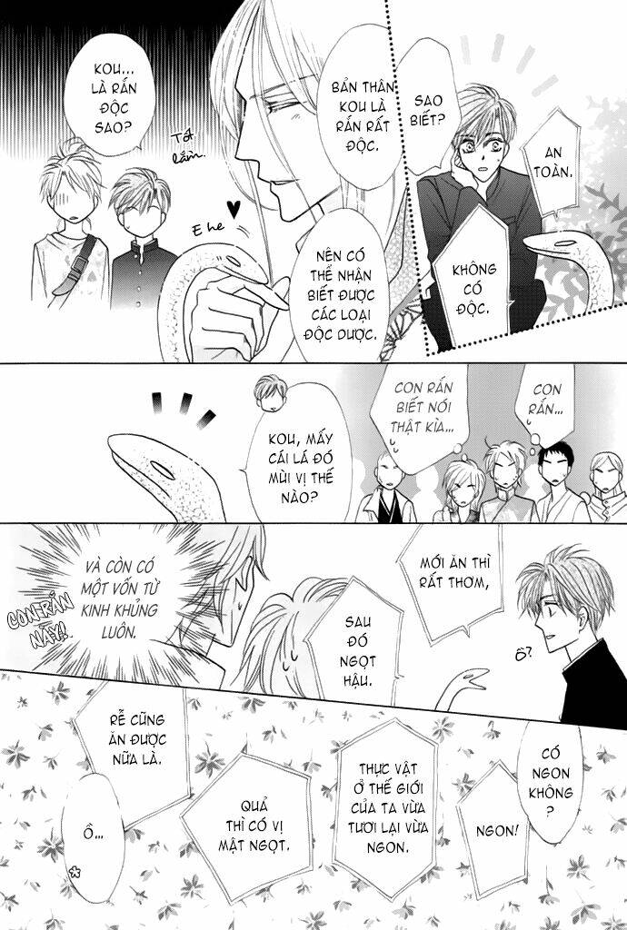 Kim Cương Bạc: Chapter 13