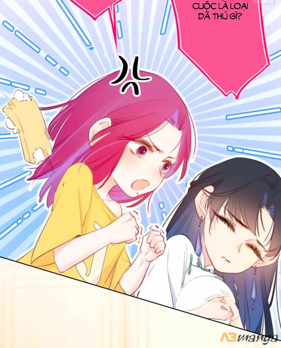 Kim Ốc Tàng Kiều: Chapter 12