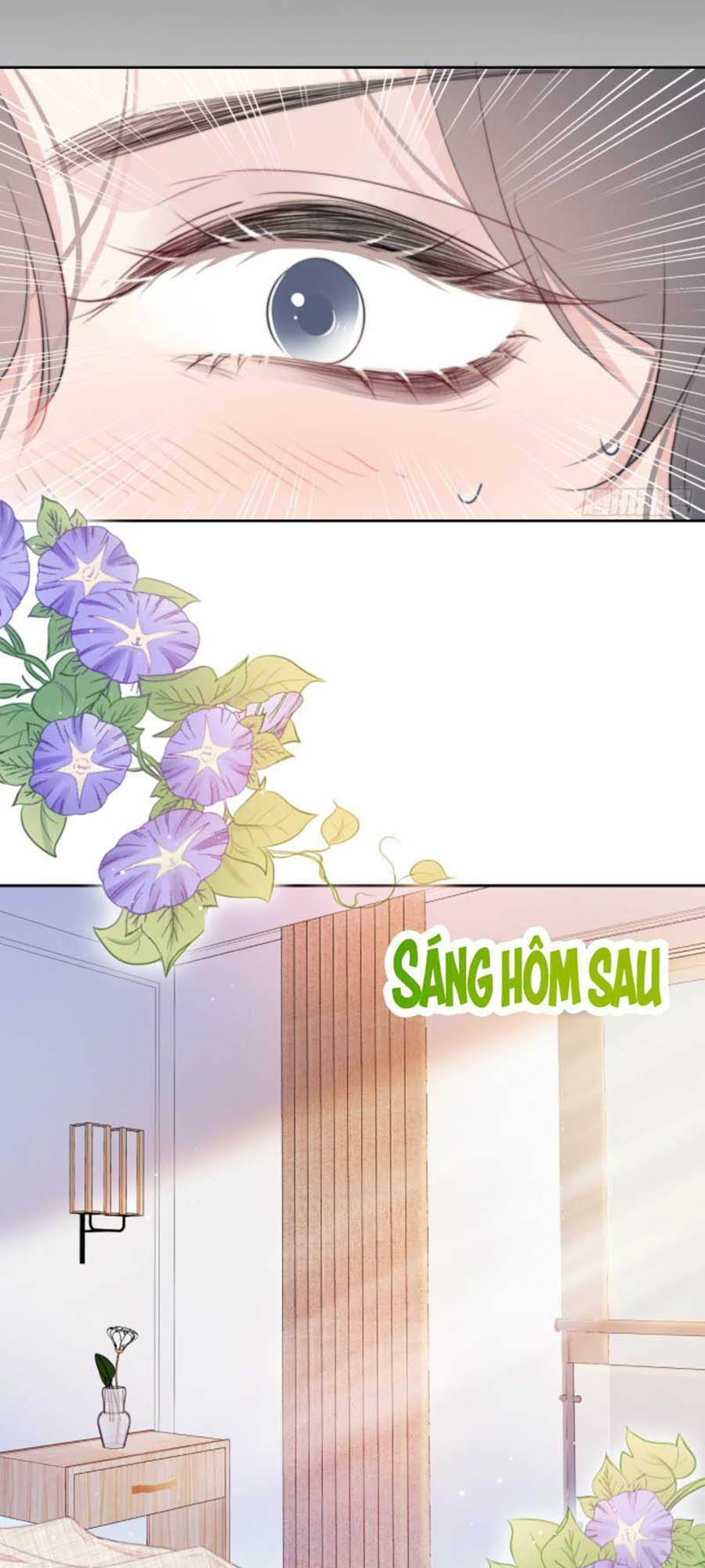 Kim Ốc Tàng Kiều: Chapter 16.5
