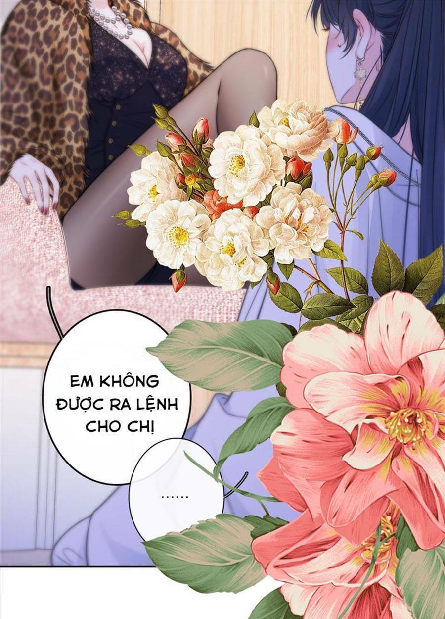 Kim Ốc Tàng Kiều: Chapter 45