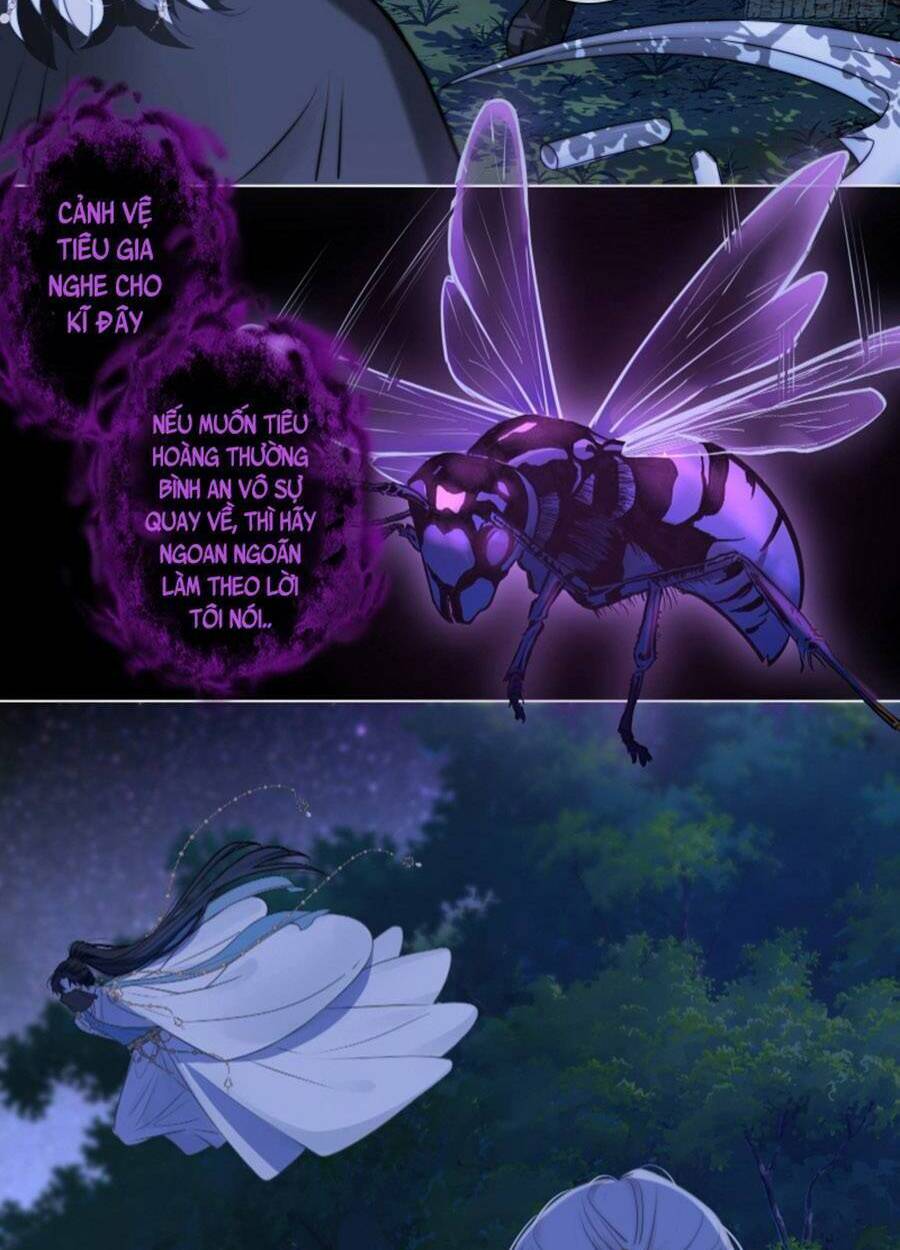 Kim Ốc Tàng Kiều: Chapter 61
