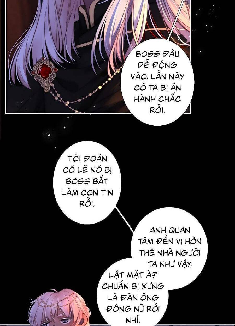 Kim Ốc Tàng Kiều: Chapter 66