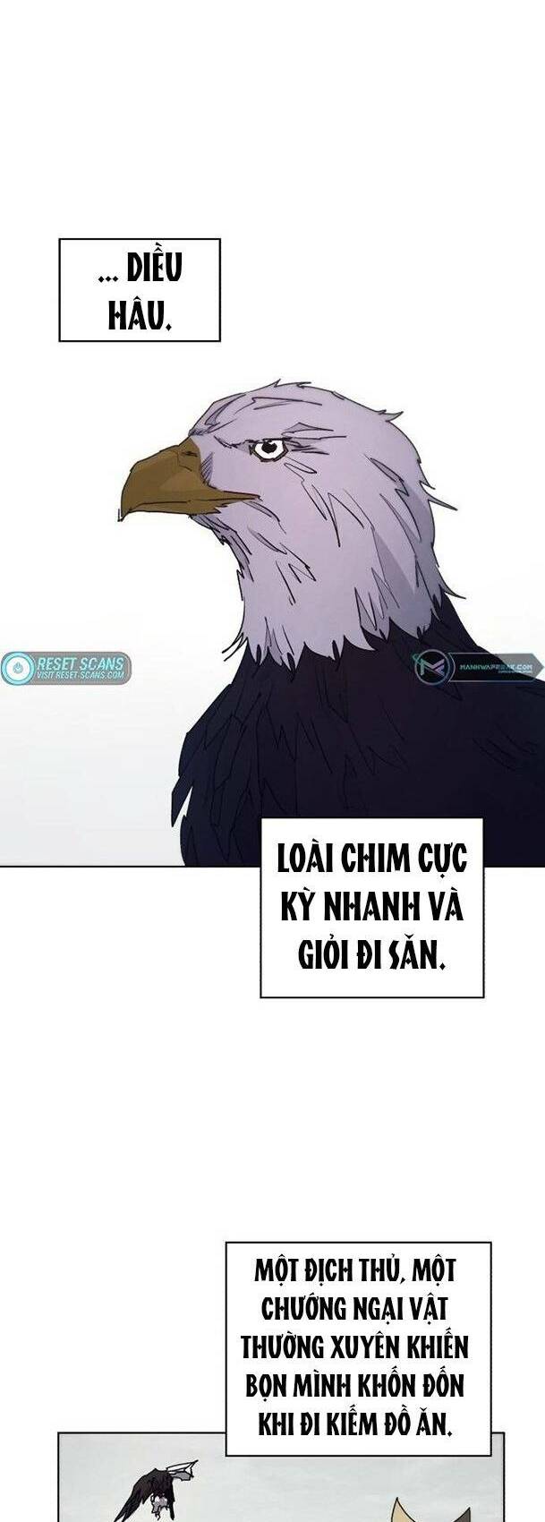 Kỵ Sĩ Báo Thù: Chapter 96