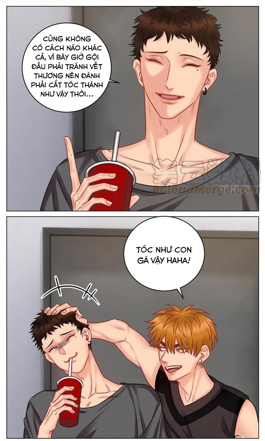 Ký Túc Xá Nam Phòng 303: Chapter 180