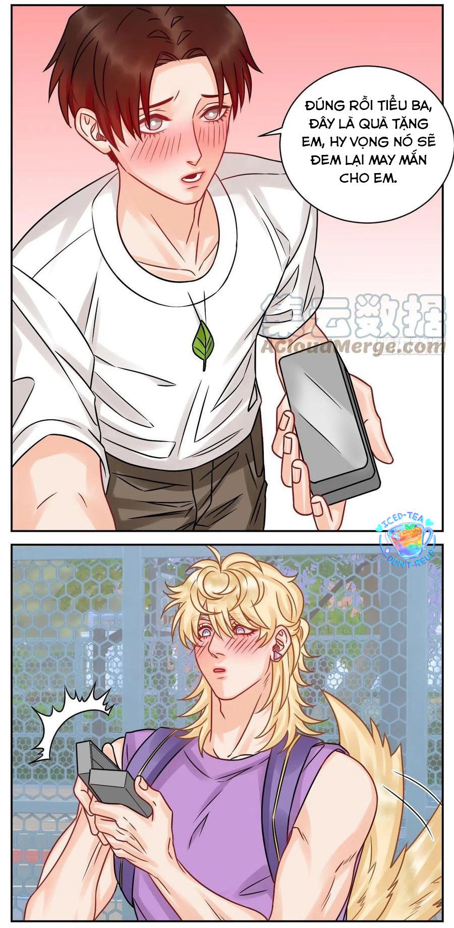 Ký Túc Xá Nam Phòng 303: Chapter 184