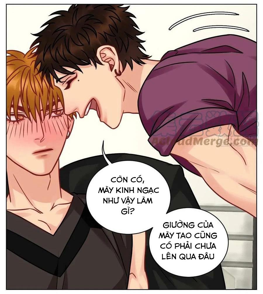 Ký Túc Xá Nam Phòng 303: Chapter 191