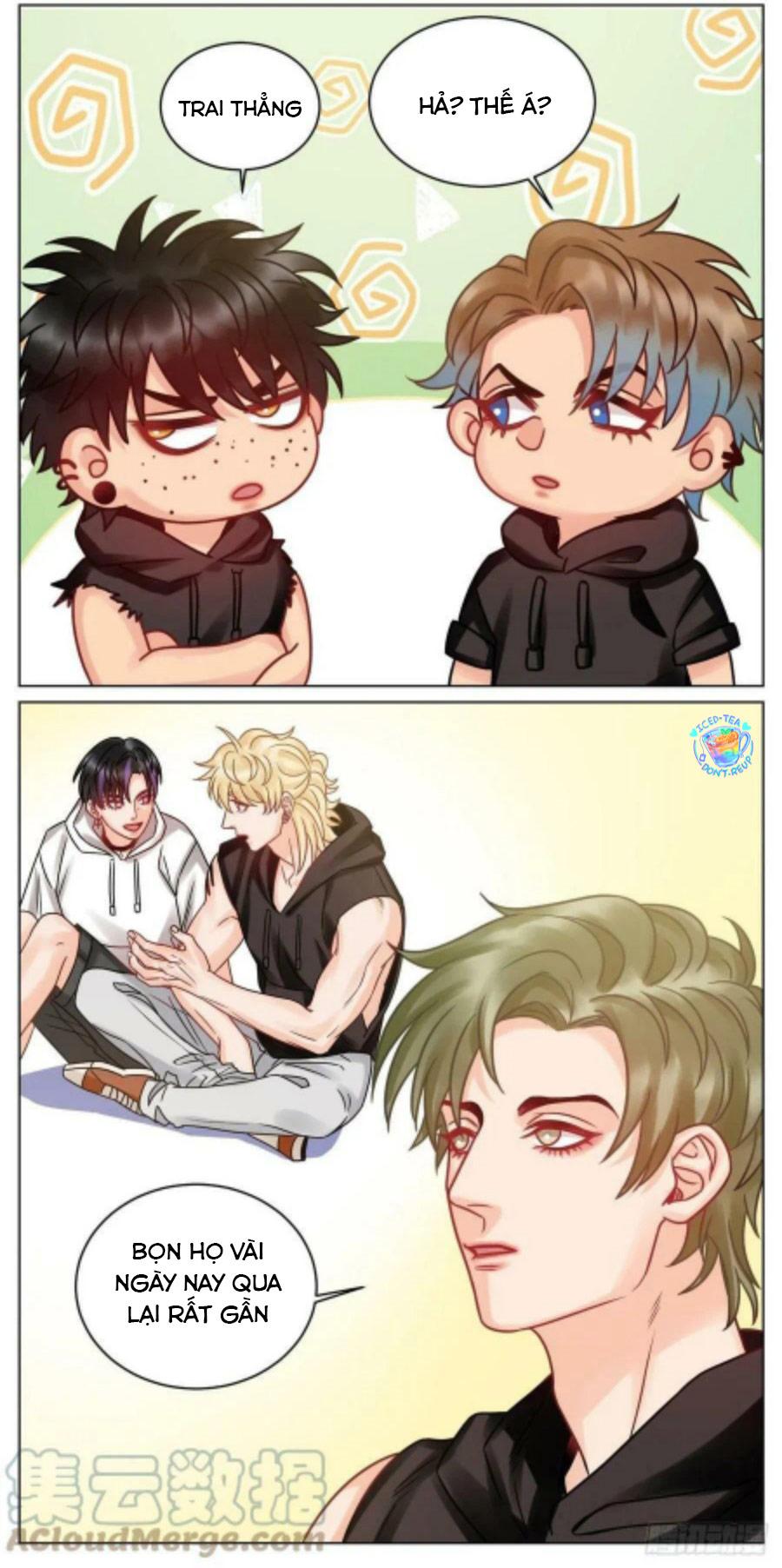 Ký Túc Xá Nam Phòng 303: Chapter 192