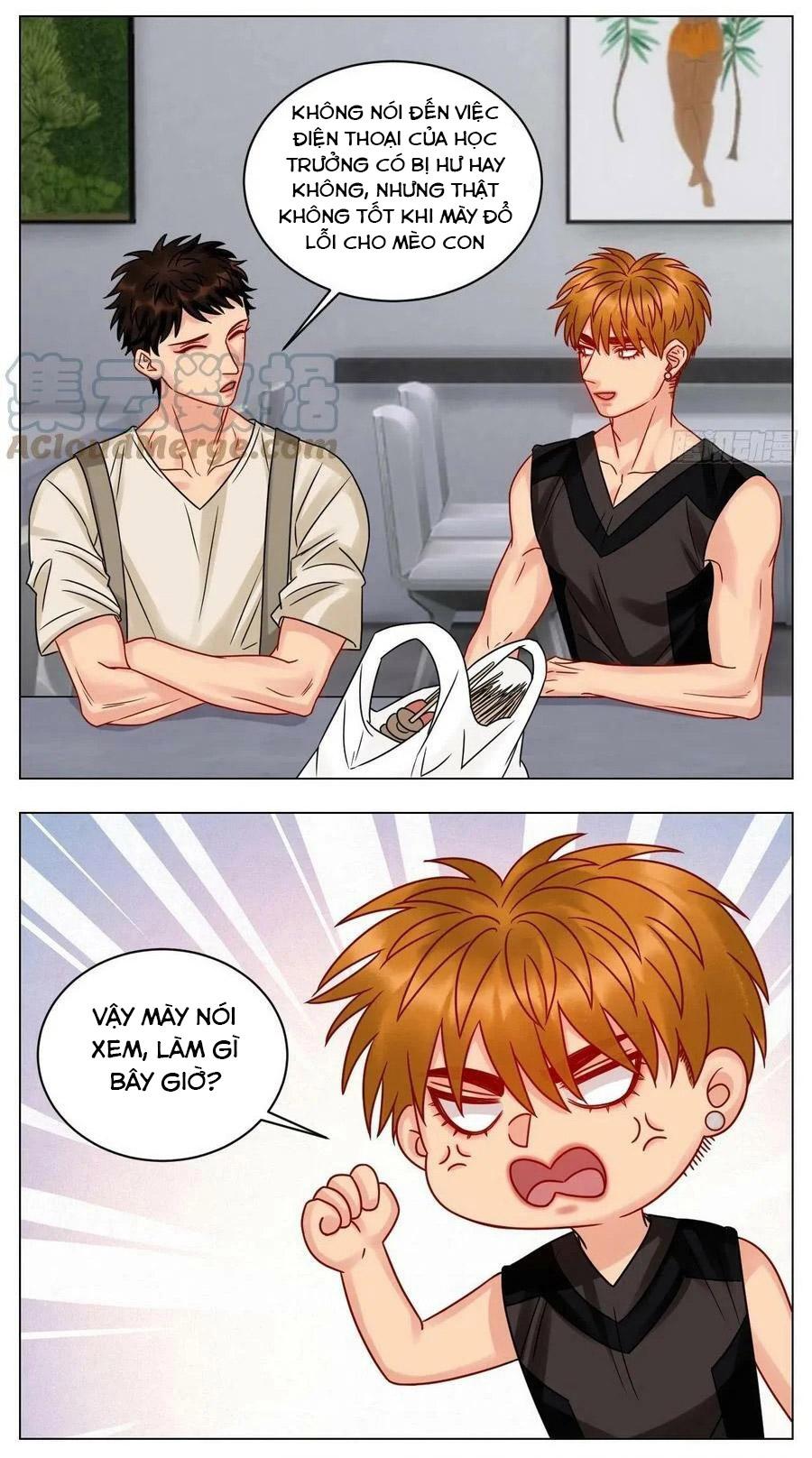 Ký Túc Xá Nam Phòng 303: Chapter 196