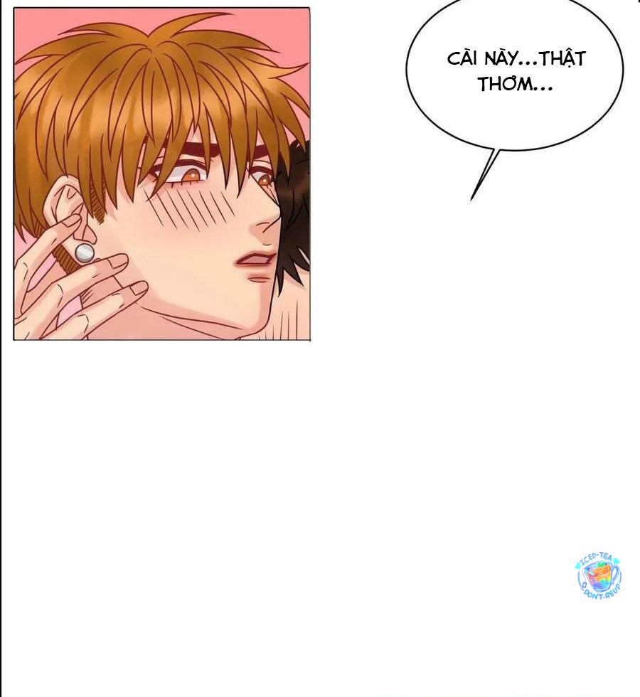 Ký Túc Xá Nam Phòng 303: Chapter 199