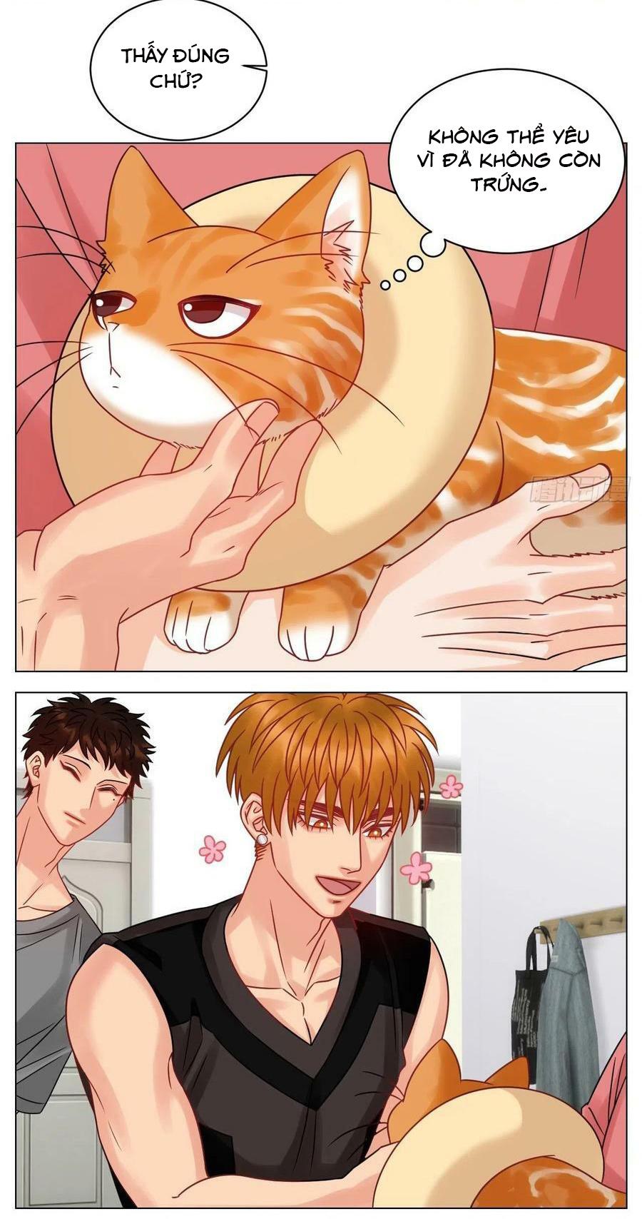Ký Túc Xá Nam Phòng 303: Chapter 204
