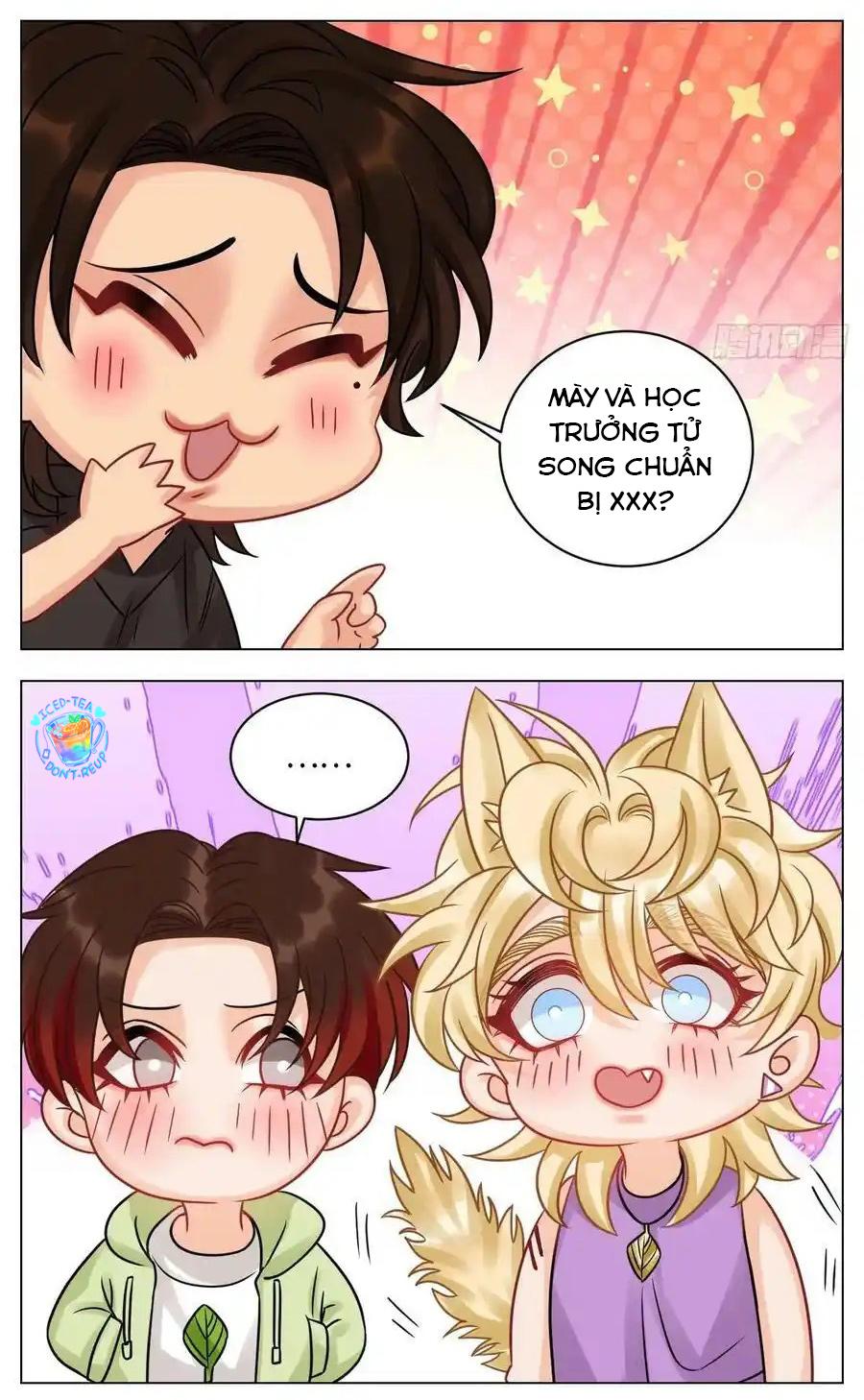 Ký Túc Xá Nam Phòng 303: Chapter 214