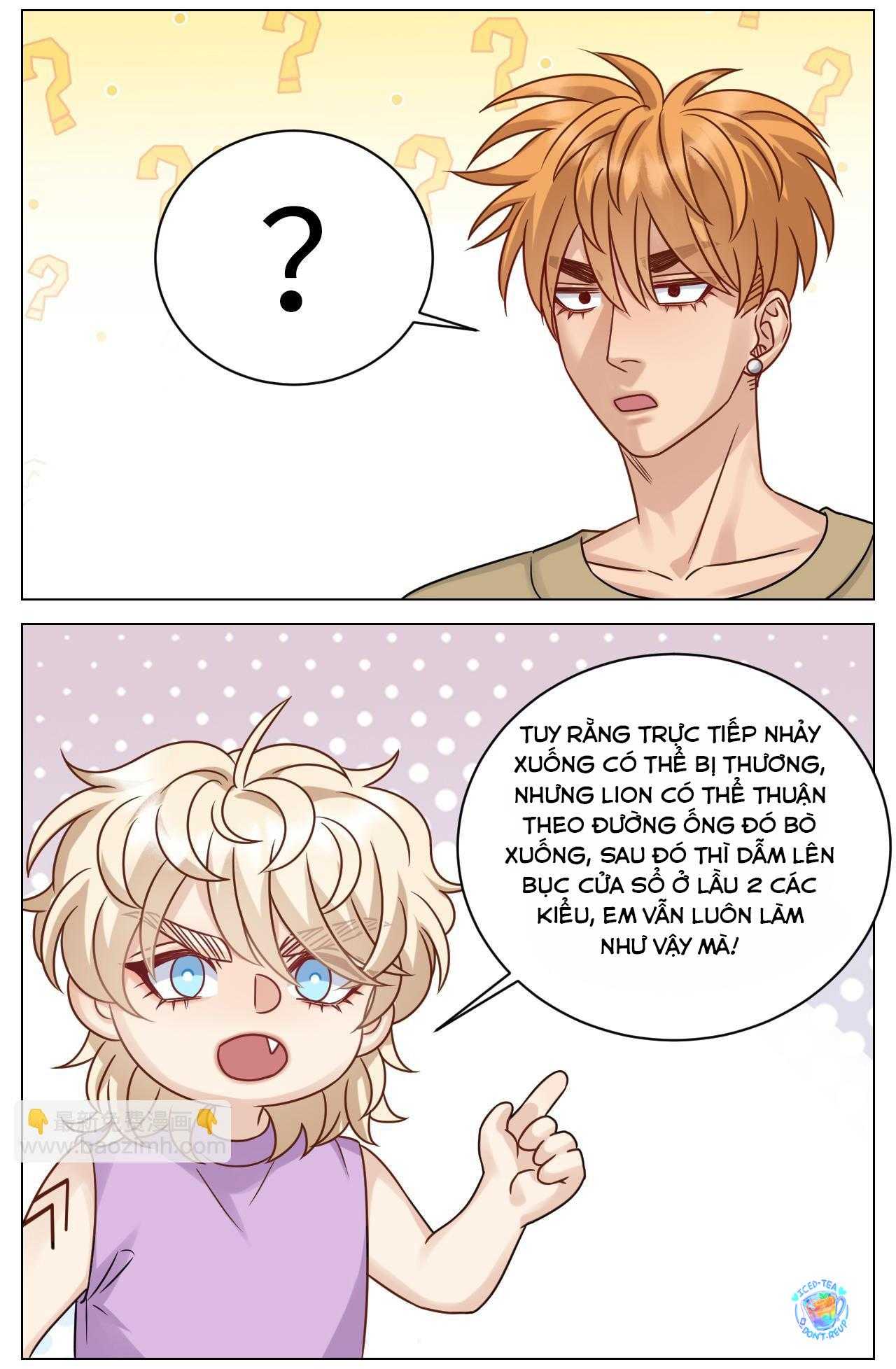 Ký Túc Xá Nam Phòng 303: Chapter 221