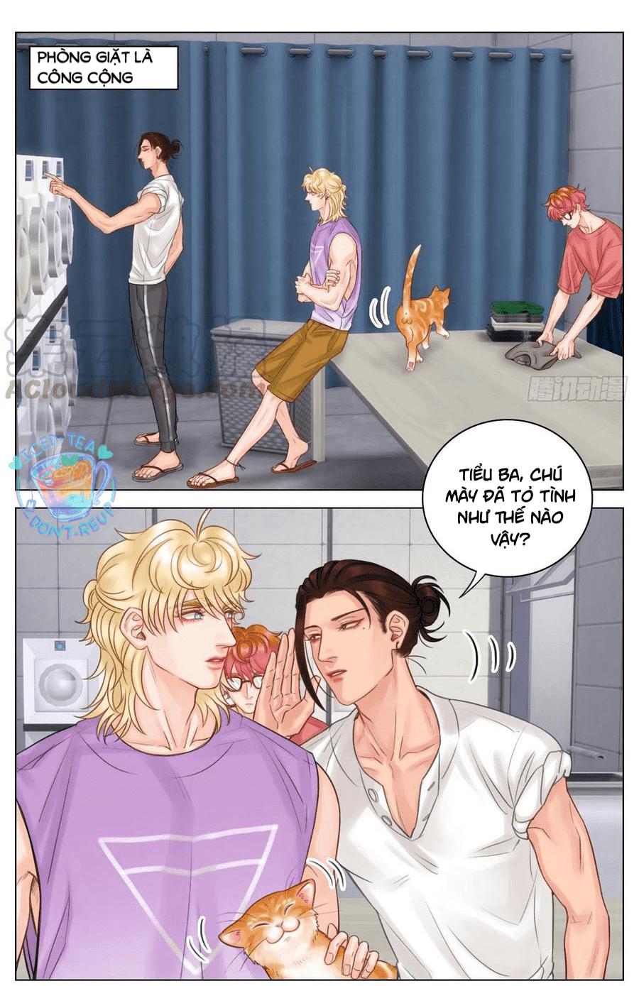 Ký Túc Xá Nam Phòng 303: Chapter 48