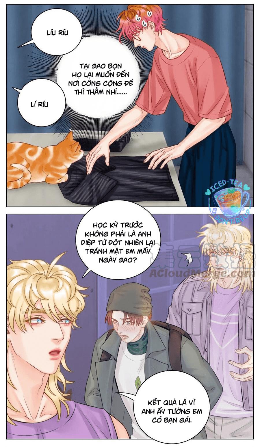 Ký Túc Xá Nam Phòng 303: Chapter 48