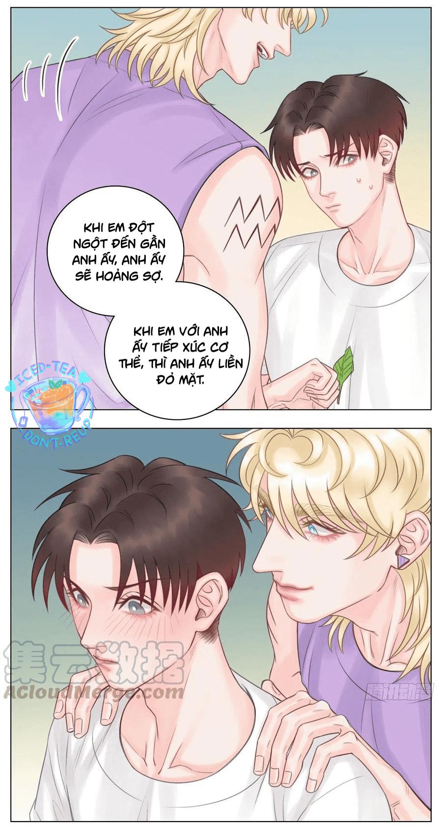 Ký Túc Xá Nam Phòng 303: Chapter 48