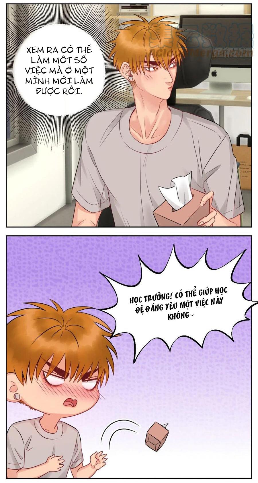 Ký Túc Xá Nam Phòng 303: Chapter 52