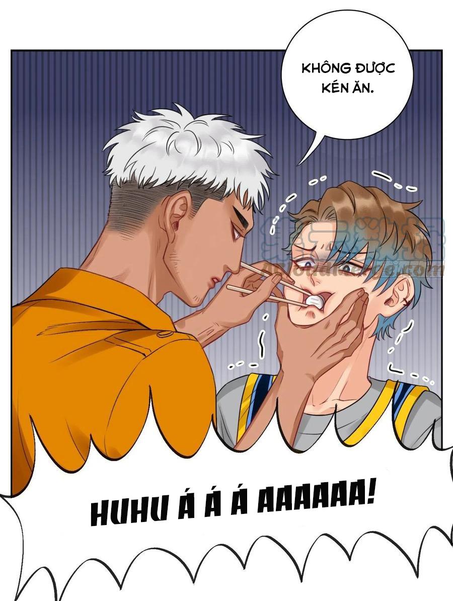 Ký Túc Xá Nam Phòng 303: Chapter 54