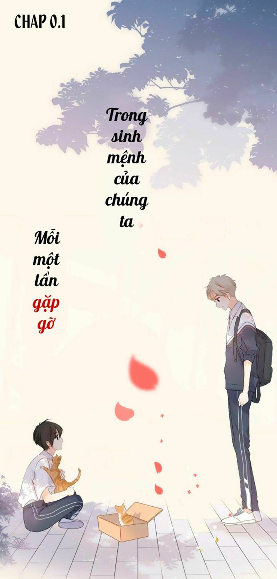 Lại Gặp Được Em: Chapter 0.2