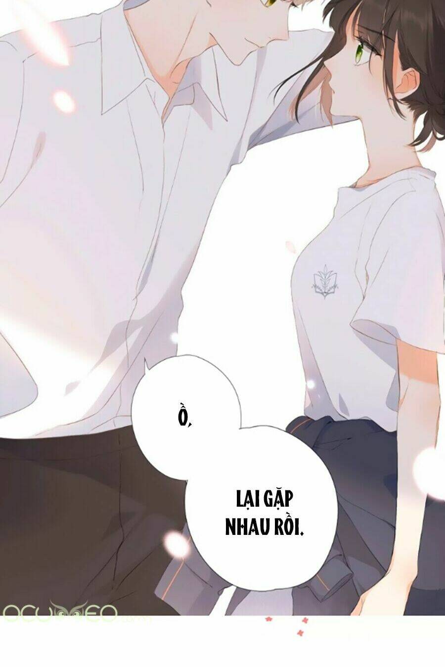 Lại Gặp Được Em: Chapter 0.3