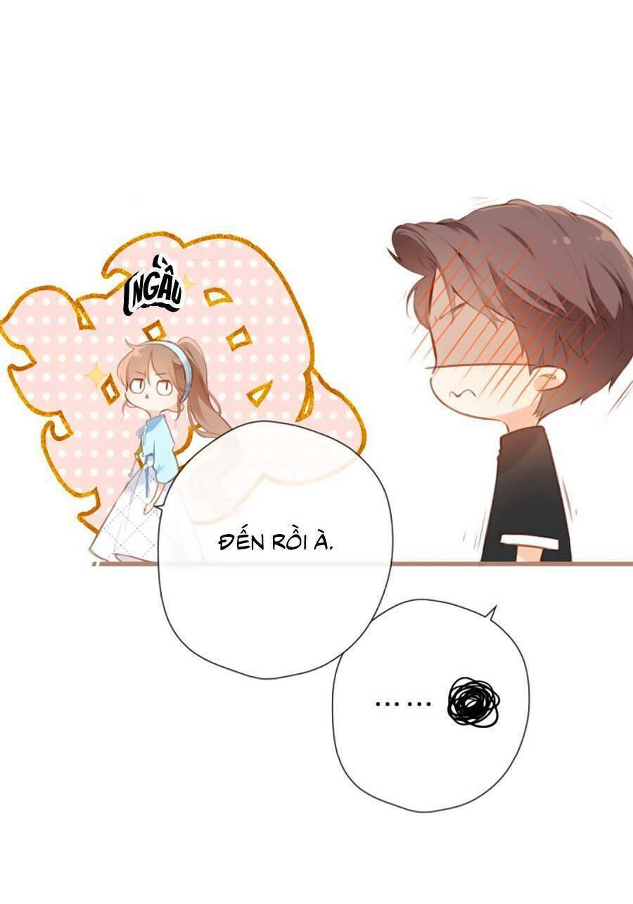 Lại Gặp Được Em: Chapter 148.8